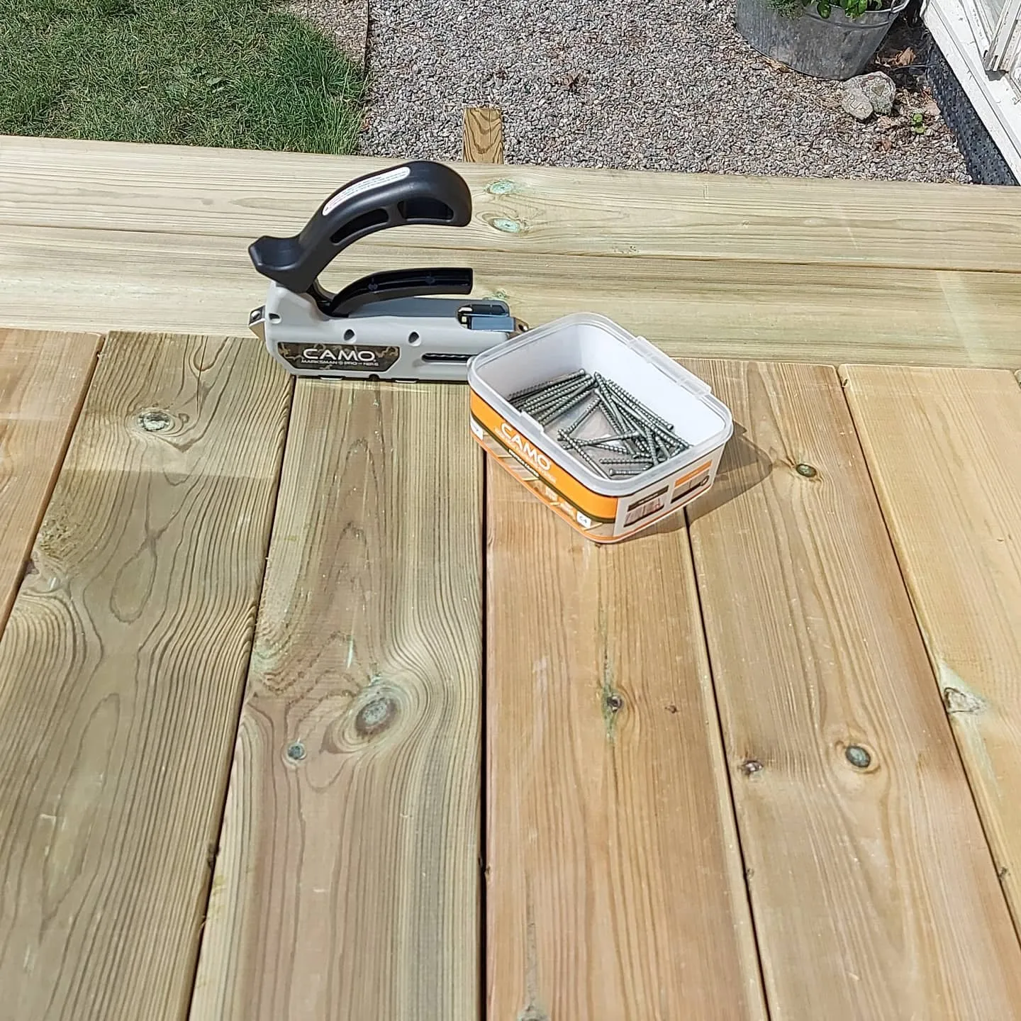 Planterade blommor i nyskapad trädgård